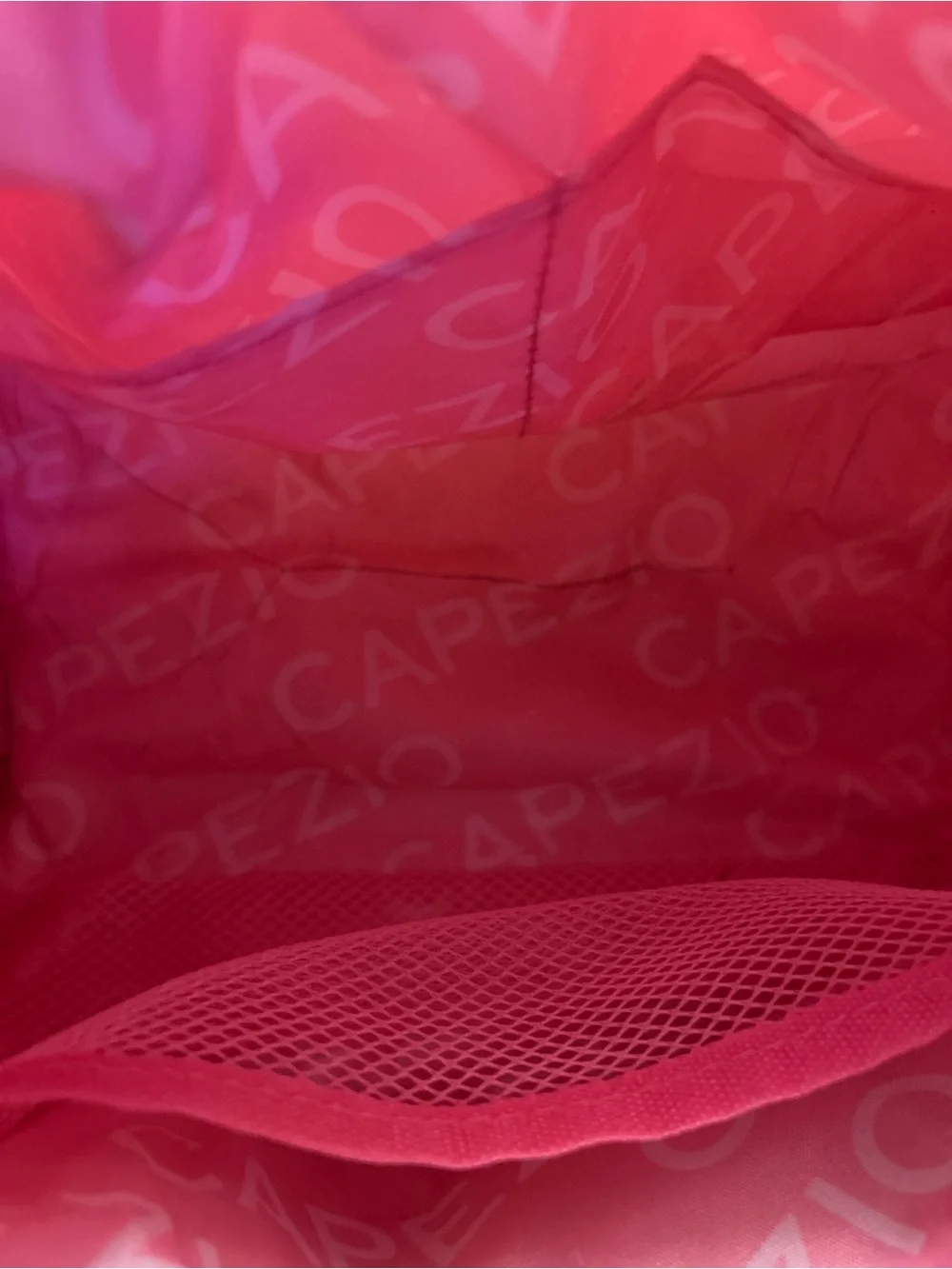 Capezio Pink Quilted Ballet Bag